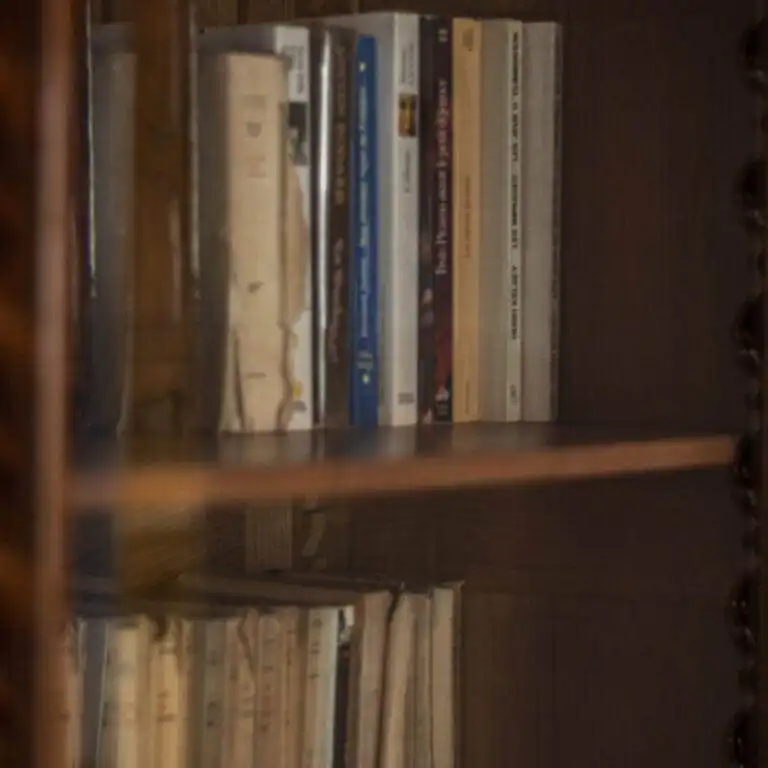 Location gite dans les alpilles sud de la france