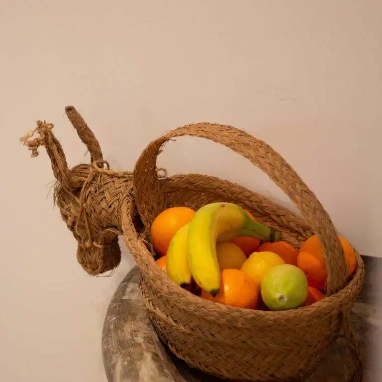 Location gite dans les alpilles sud de la france