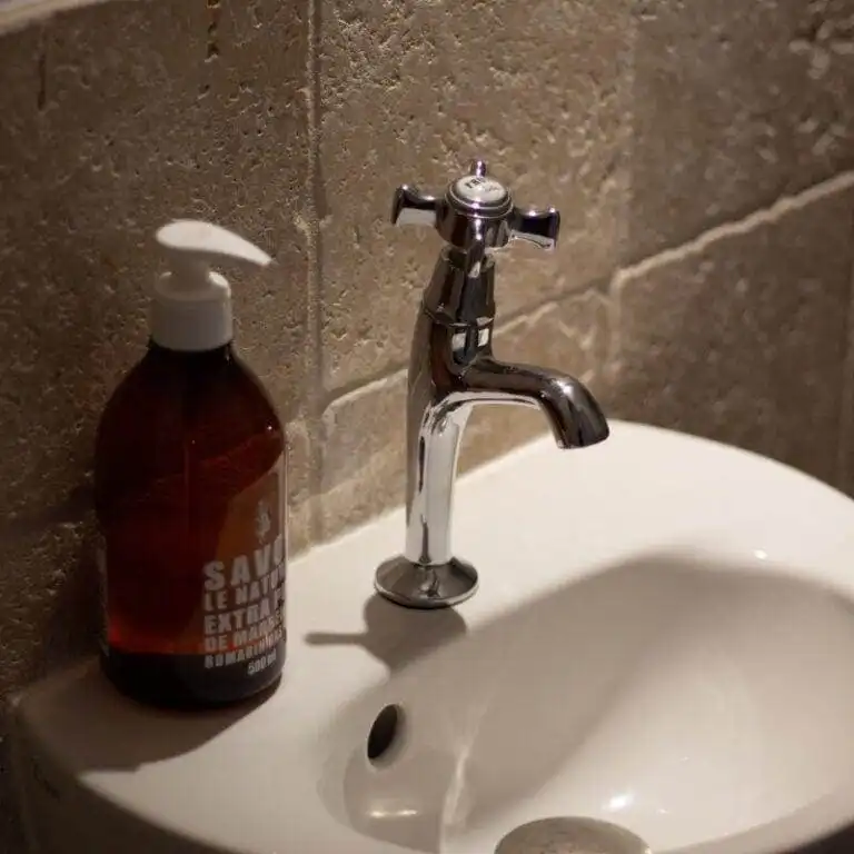 Location gite dans les alpilles sud de la france