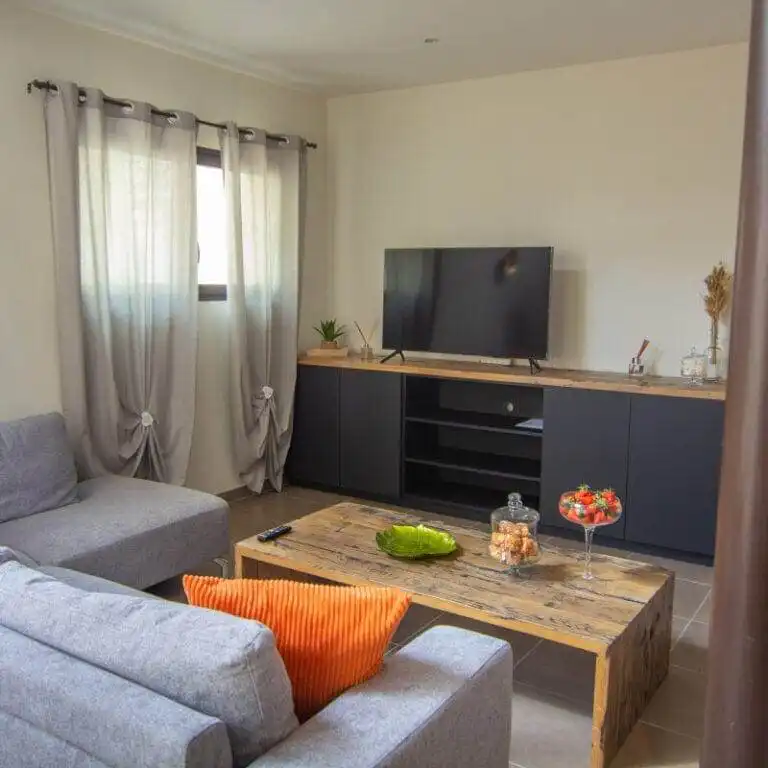 Location appartement dans les Alpilles (12)