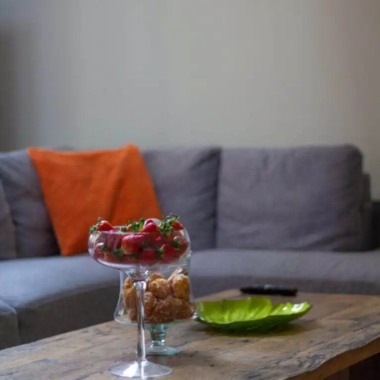 Location appartement dans les Alpilles (17)