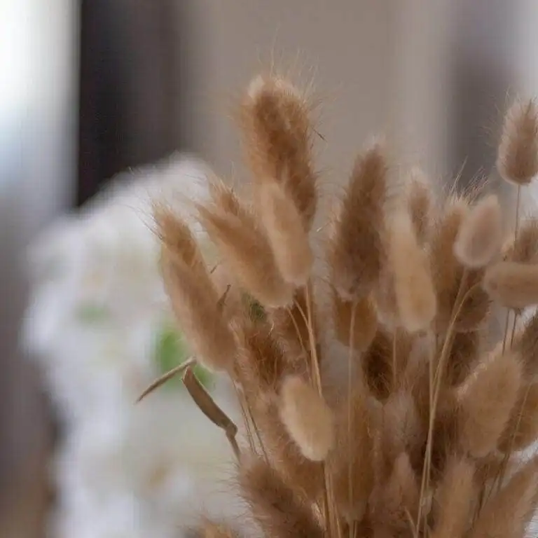 Location appartement dans les Alpilles (18)