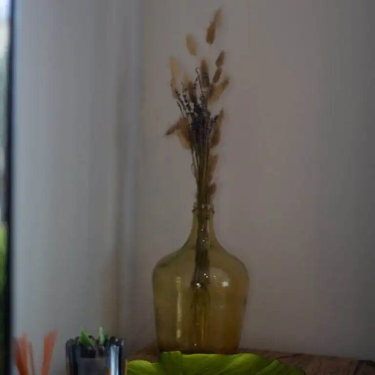 Location appartement vacances dans le sud de la france (03)