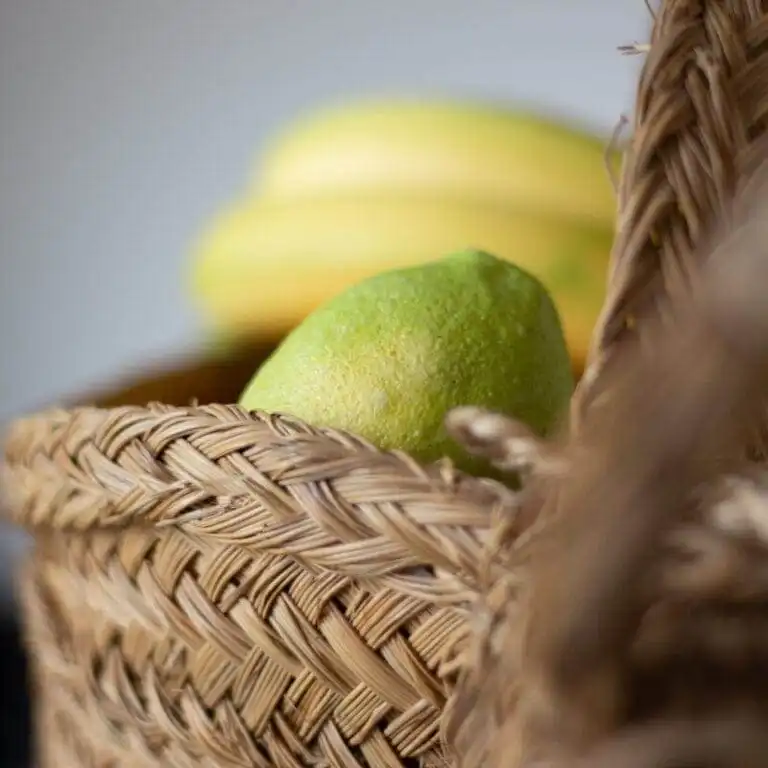 Location appartement vacances dans le sud de la france (30)